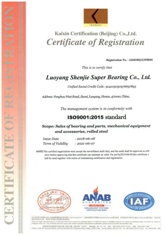 ISO9001：2015標(biāo)準(zhǔn)英文版